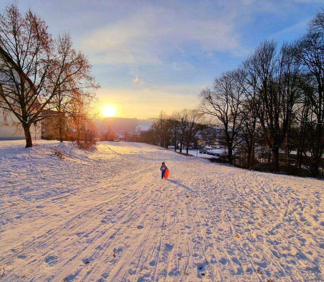 Ferienhaeuser Olbernhau Erzgebirge Bagian luar foto