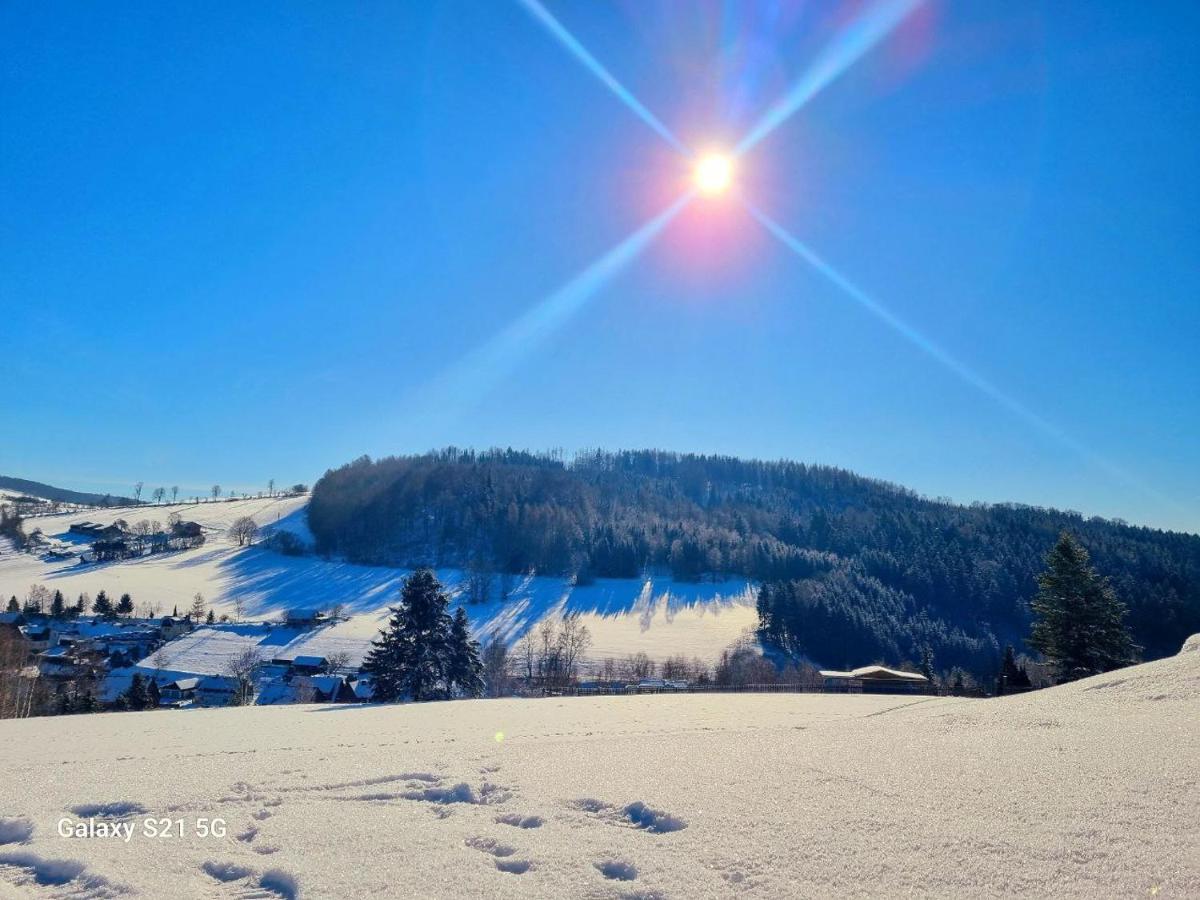 Ferienhaeuser Olbernhau Erzgebirge Bagian luar foto