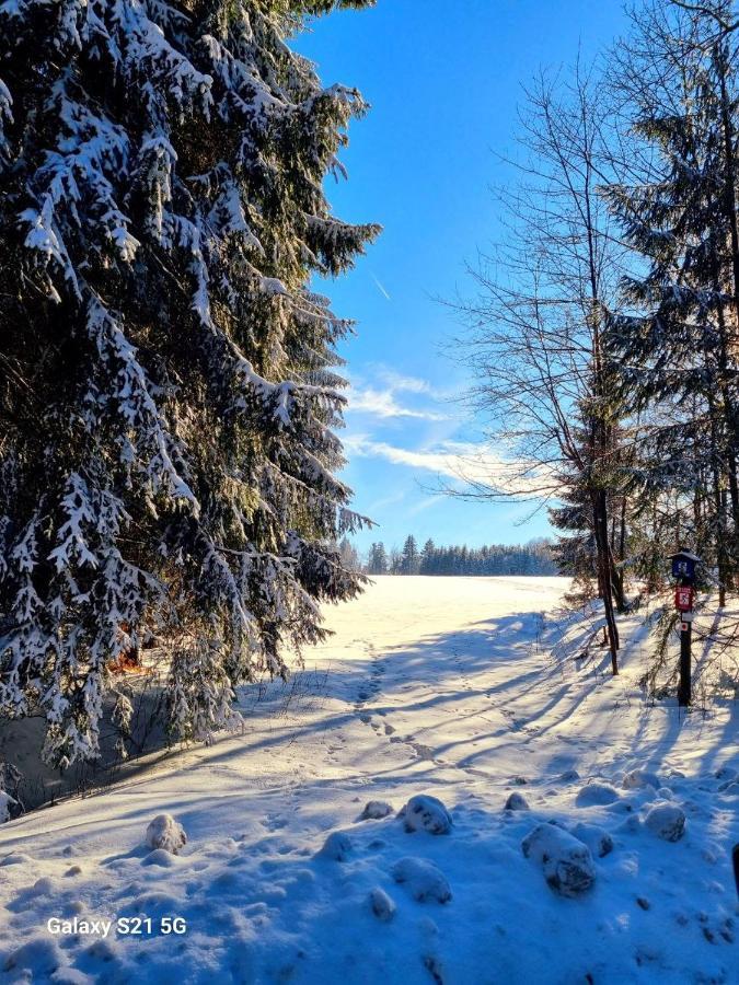 Ferienhaeuser Olbernhau Erzgebirge Bagian luar foto