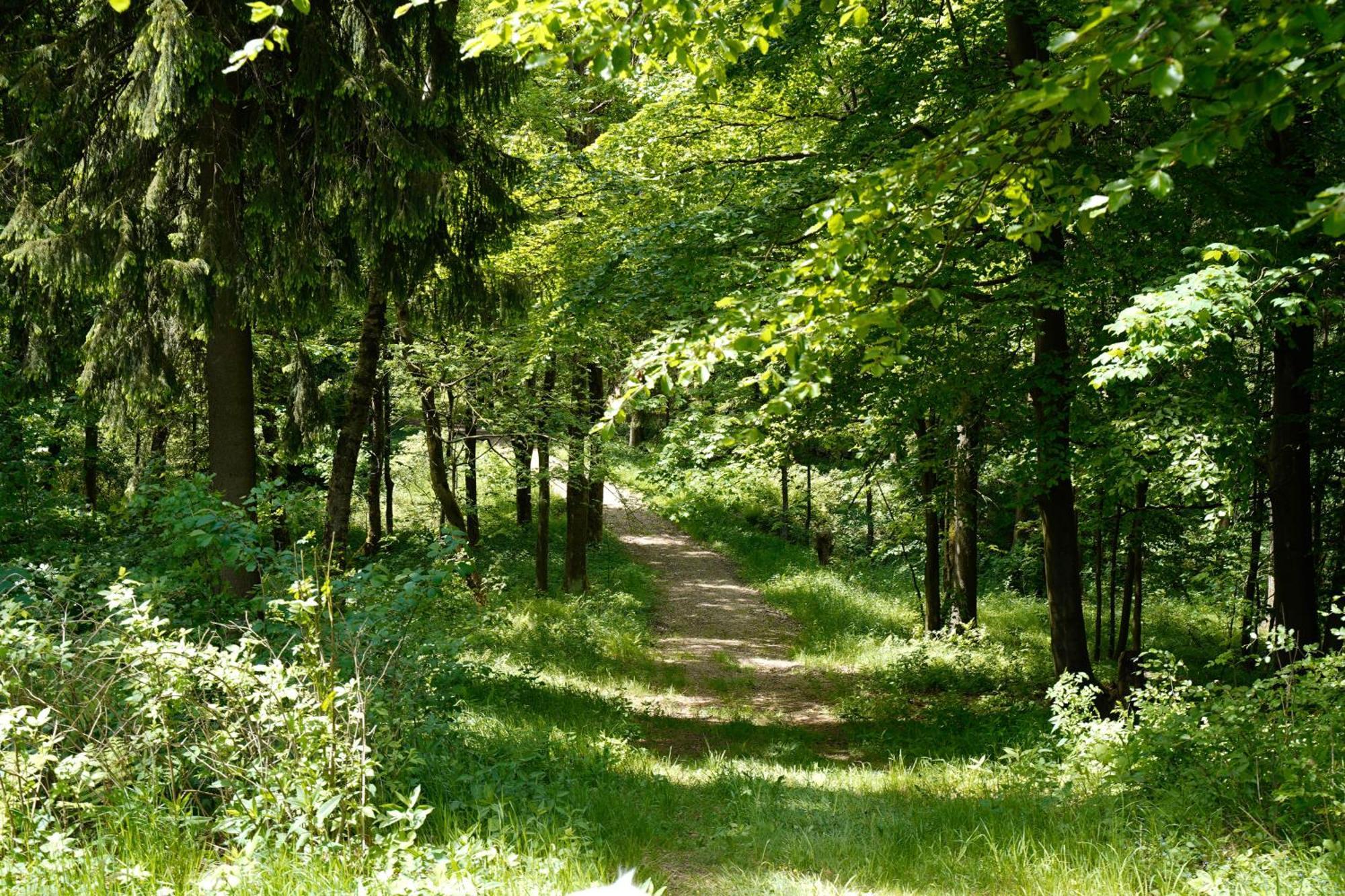 Ferienhaeuser Olbernhau Erzgebirge Bagian luar foto